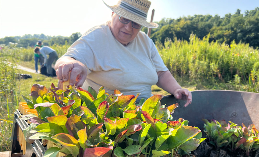 a woman in a hat and glasses working in a garden
