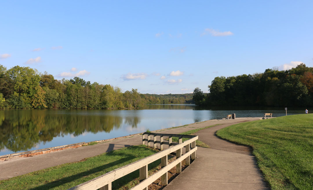 a path leading to a lake