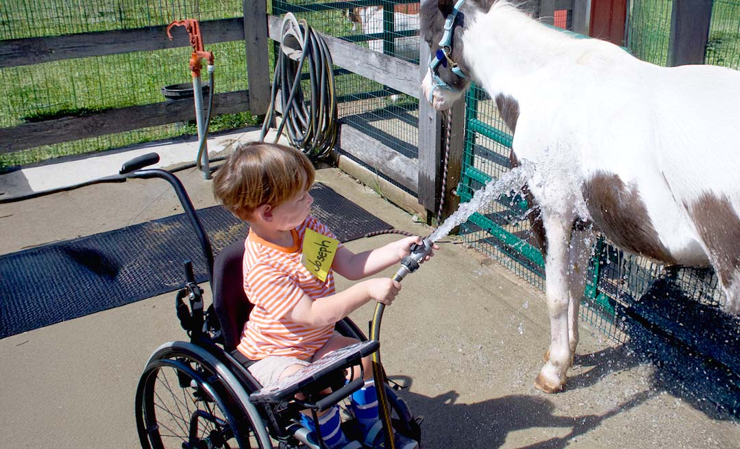 a boy in a wheelchair spraying water on a horse