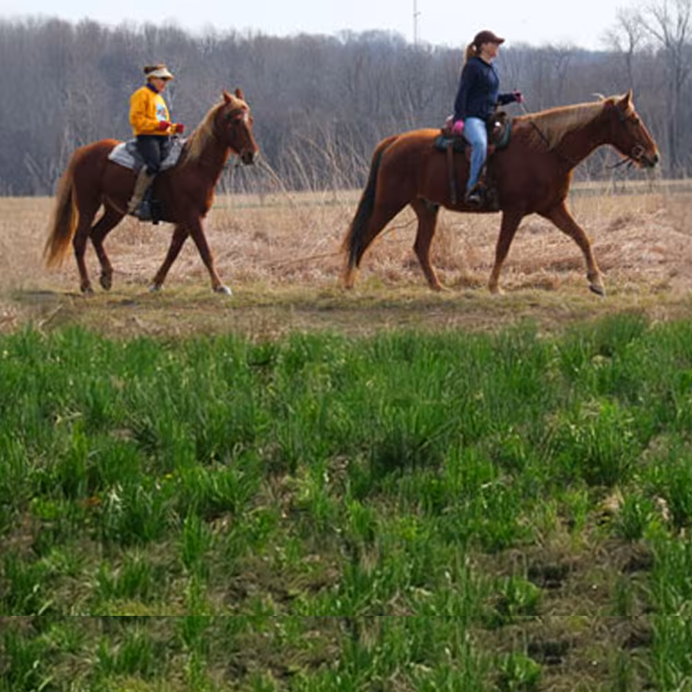 Miami Whitewater Shaker Trace Horse Trail