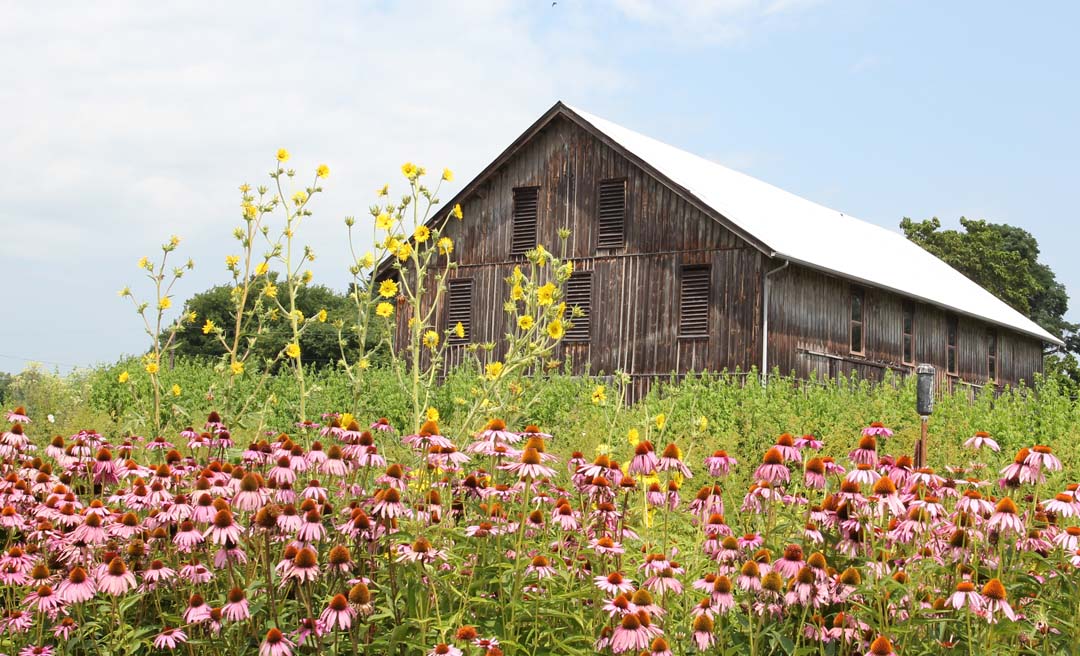 a barn with flowers in front of it