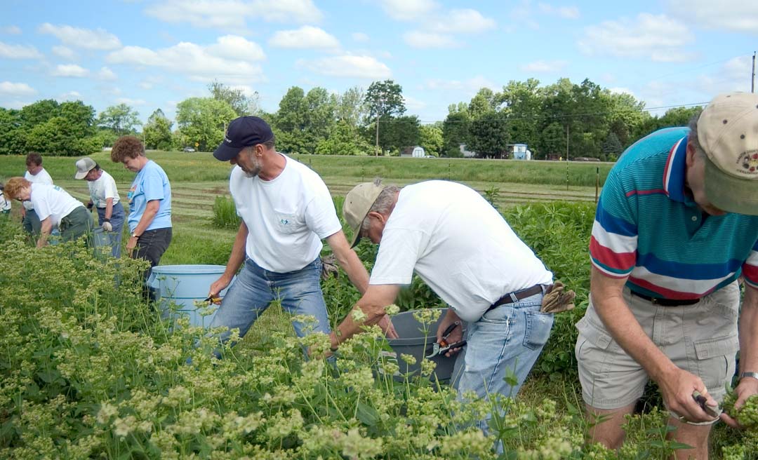a group of people working in a field