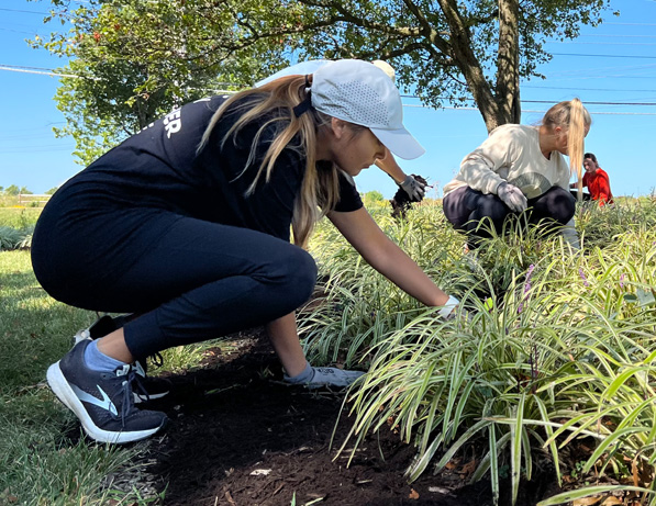 a group of women working in a garden